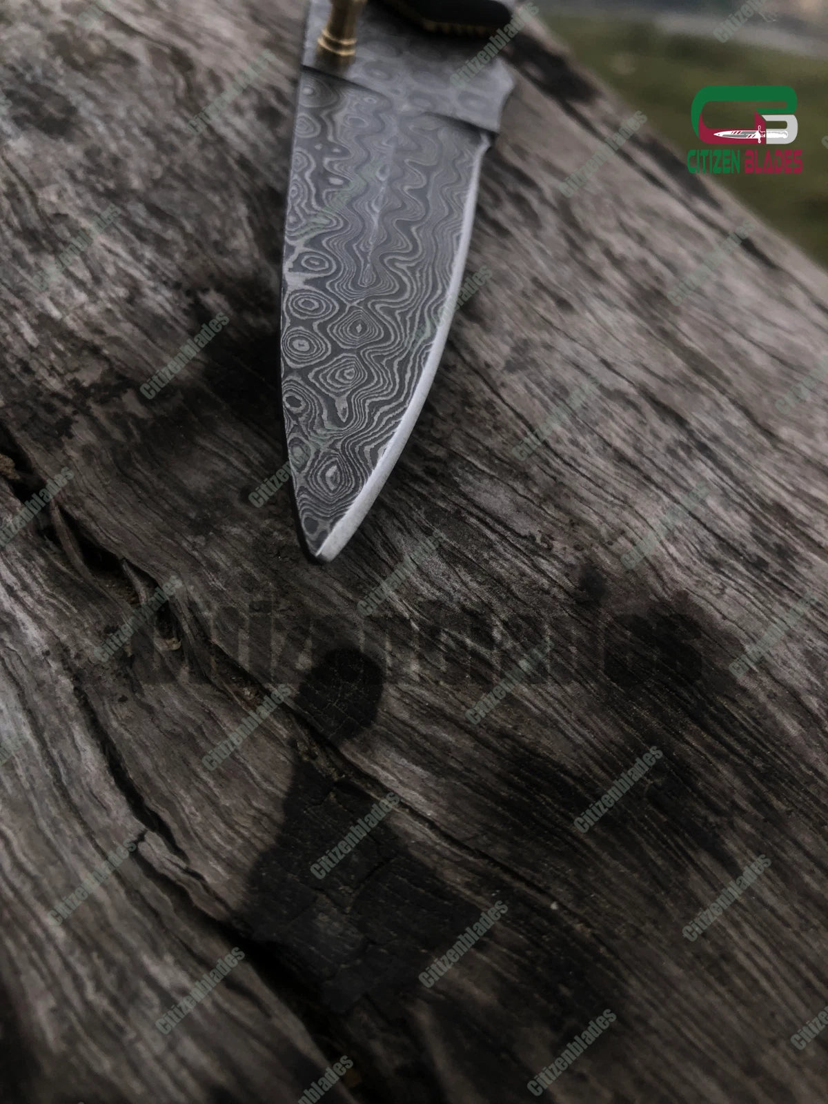 Folding Knife Pocket Blade Open Assisted Tactical Handle Spring FOLDING Steel